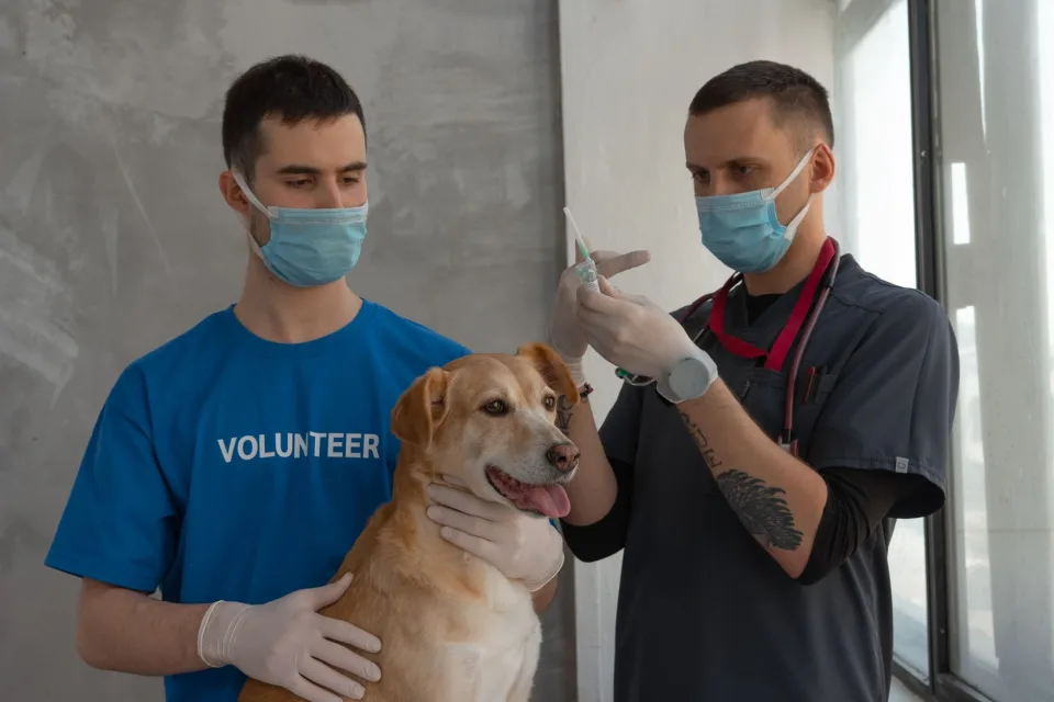 Tại Dc Pet House